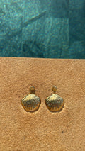 Boucles d'oreilles coquillage